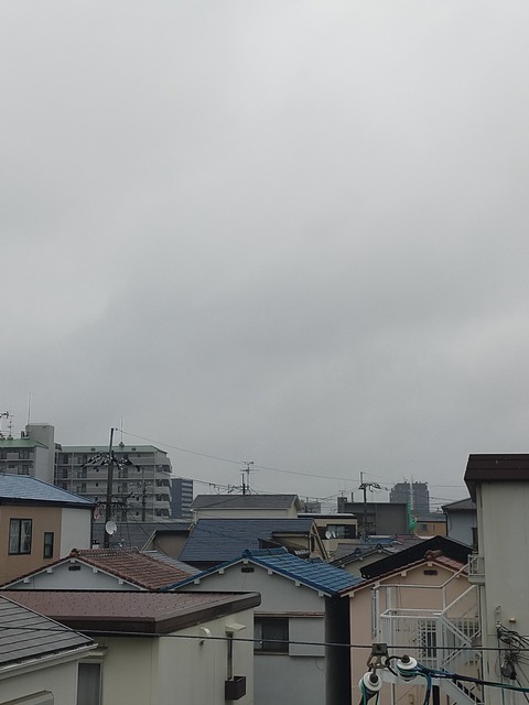 IMG20230326101605