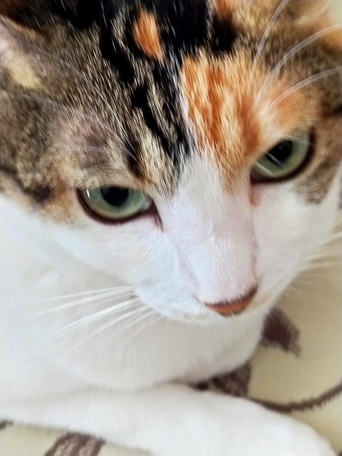 IMG20211124092945