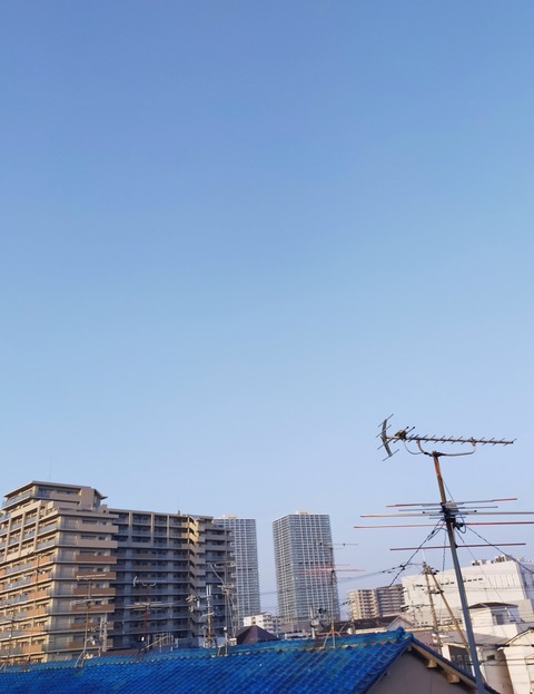 IMG_20230422_061256
