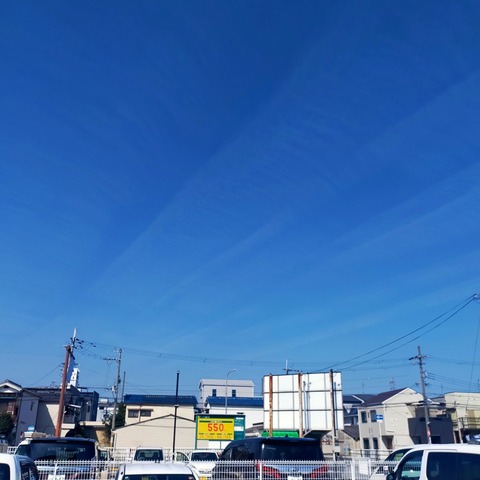 IMG_20260327_093733