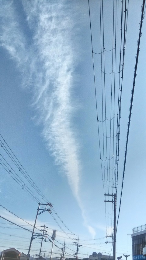 P_20200119_094807_HDR