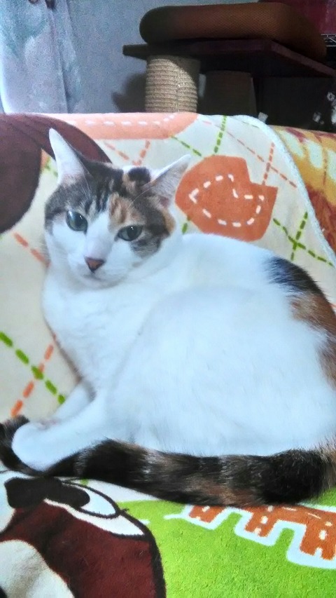 P_20200123_112724_HDR