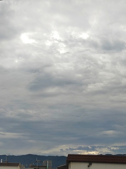 IMG_20230921_072140