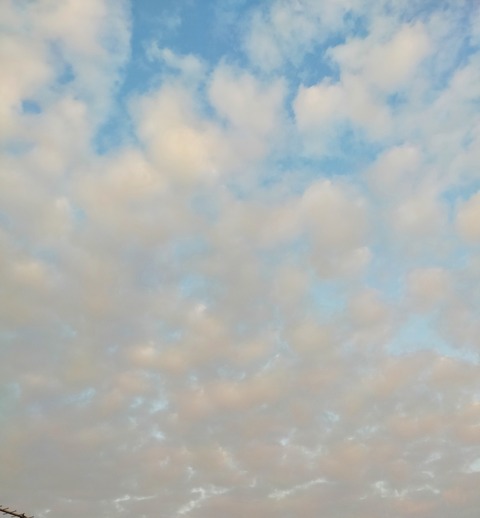 IMG_20220927_061448