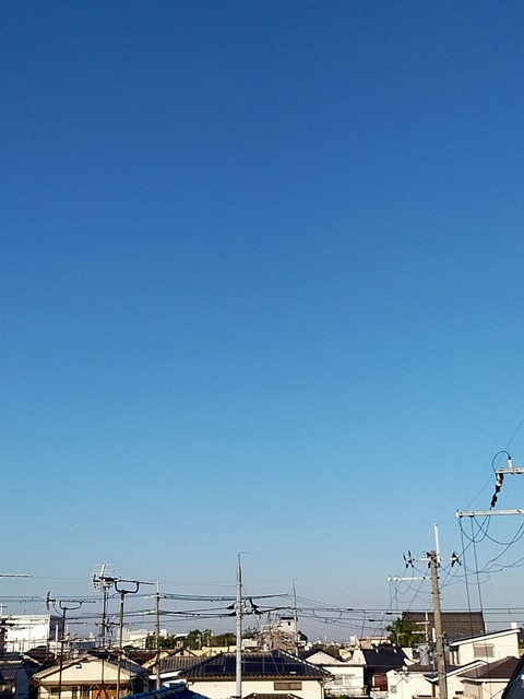 IMG20221028073309