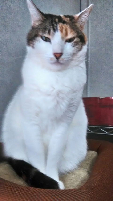 P_20200124_084555_HDR