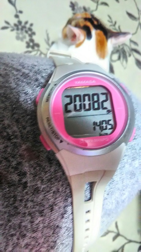 P_20200123_232602_HDR