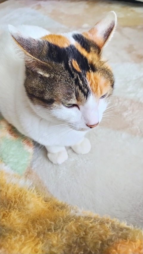 IMG20260222150425
