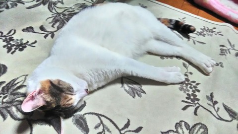 P_20200123_231735_HDR