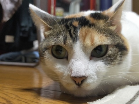 IMG20210116215830