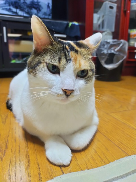 IMG20211226222307