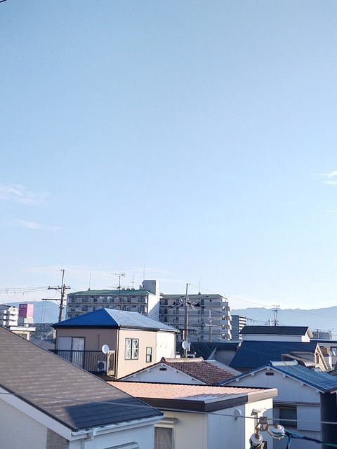 IMG20211229084550