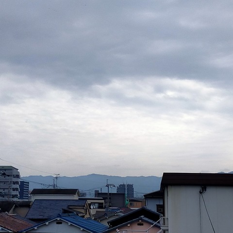 IMG20260323092821