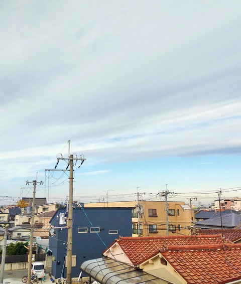 IMG_20241205_085049