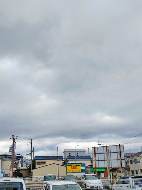 IMG_20260228_095442