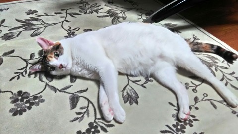 P_20200123_231113_HDR