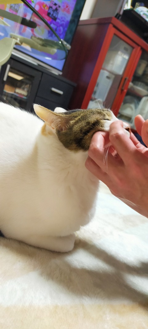 IMG20251219203057