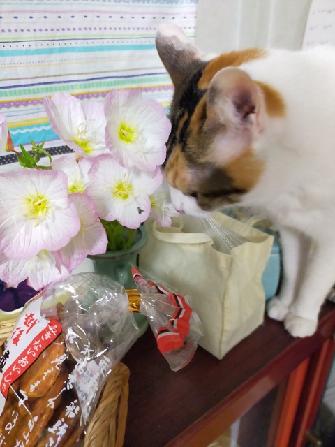 IMG20210503184233