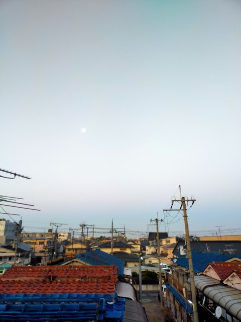 IMG20240129064604
