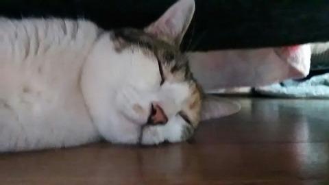 P_20191129_214620_LL