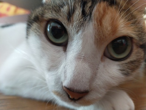IMG20201124084230