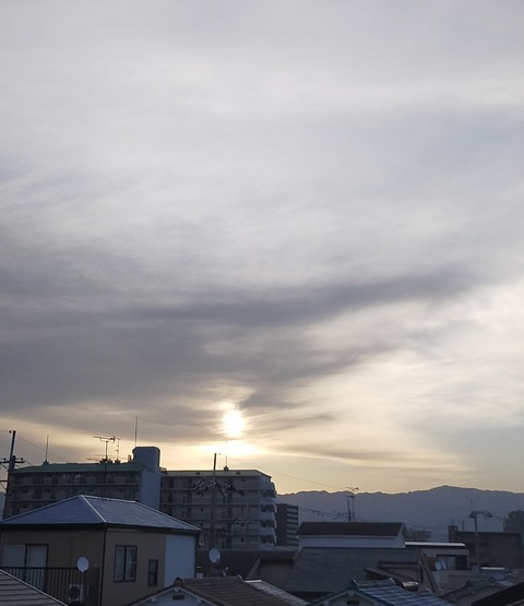 IMG_20210526_053202