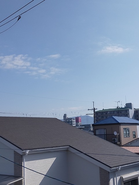 IMG20210324084728