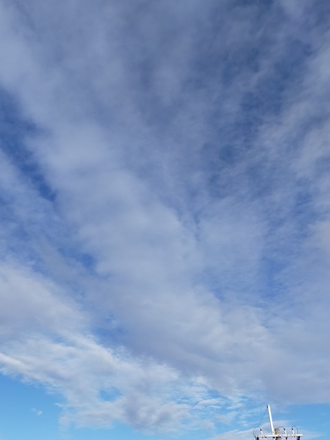 IMG_20220729_074347