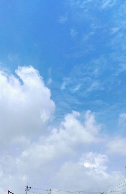 IMG_20240626_100327