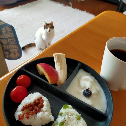 IMG20260514055349