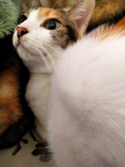 IMG20230302154525