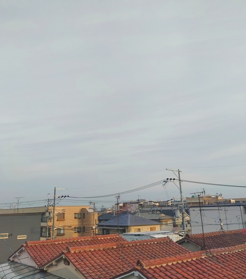 IMG_20260613_060459