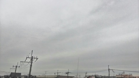 P_20200117_101709_HDR