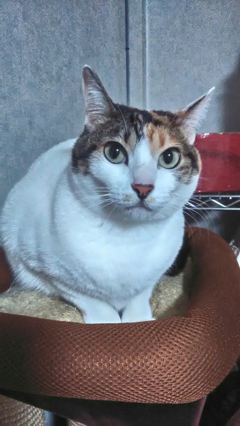 P_20200122_070322_HDR