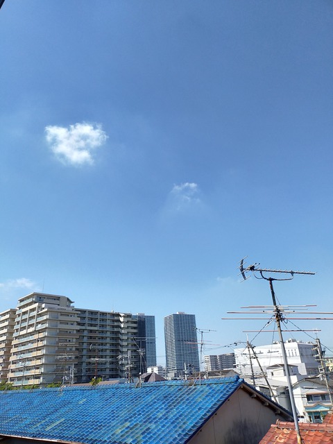 IMG20210827092610