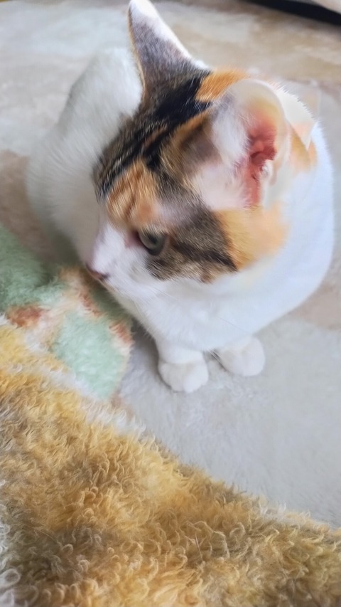 IMG20260222150413