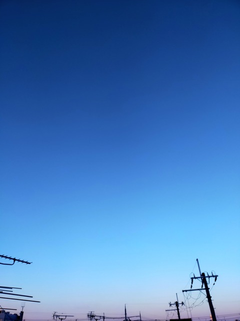 IMG20230129071321