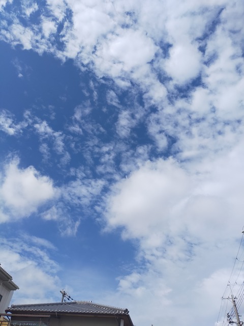 IMG20230922094315