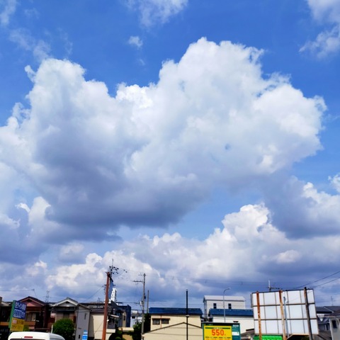 IMG_20260512_092323