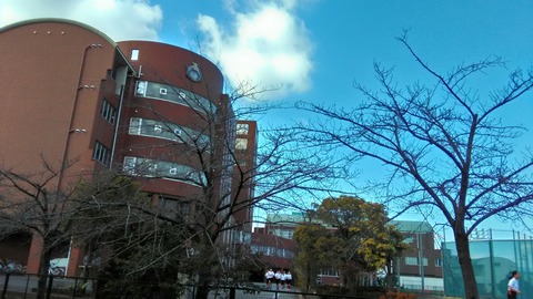 P_20200121_110249_HDR