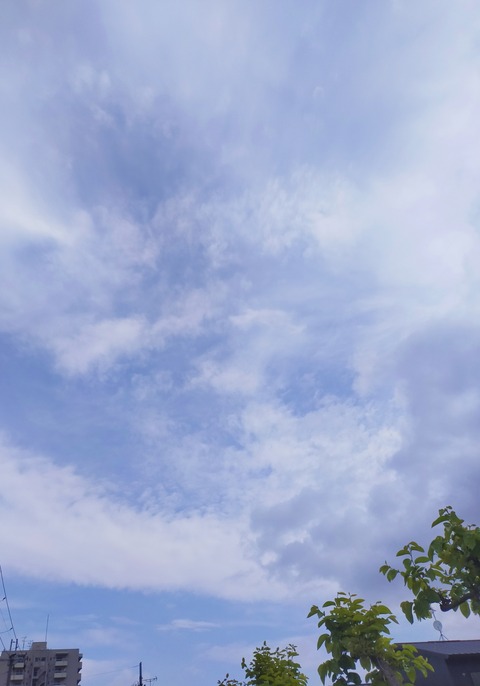IMG_20210425_093933