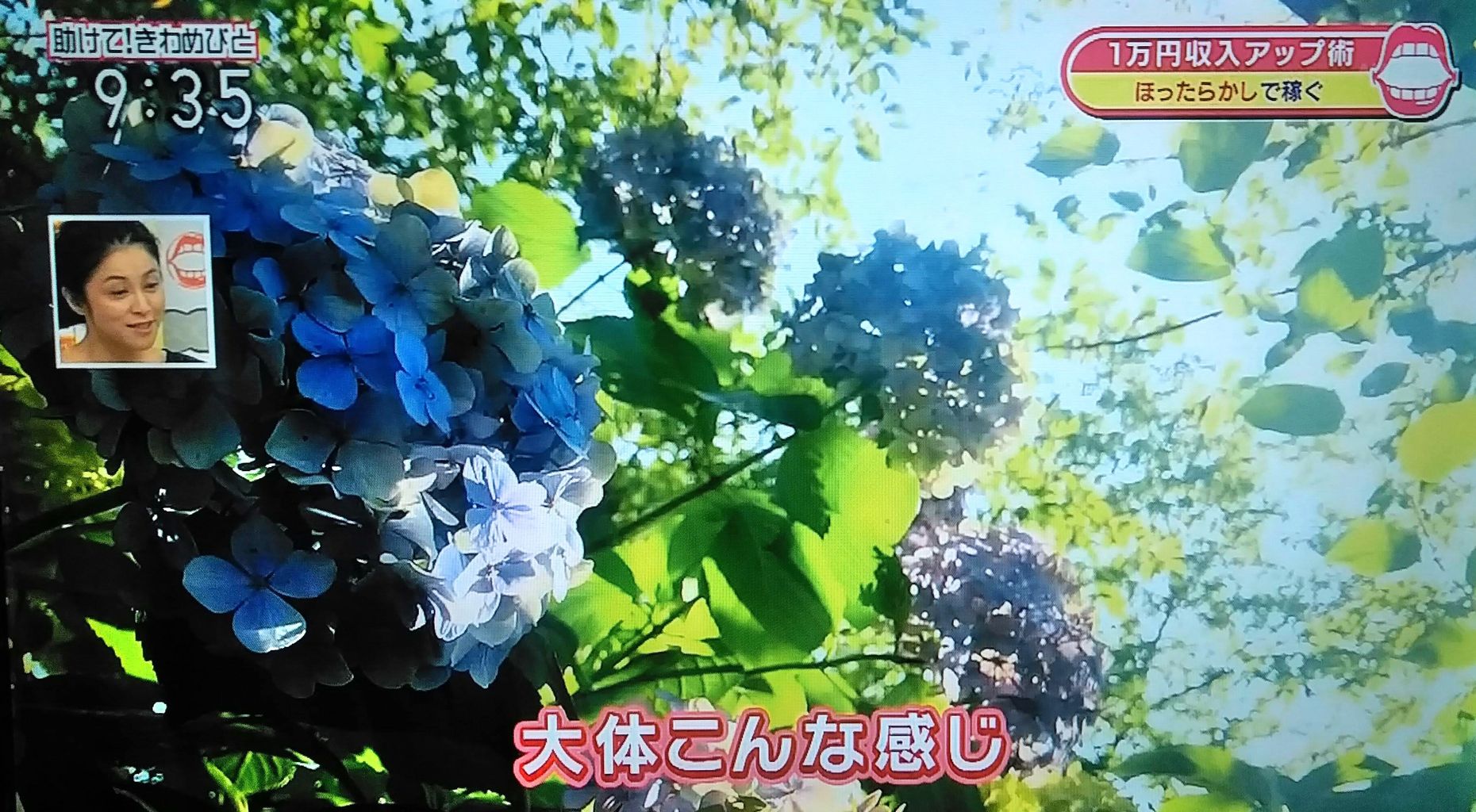 ごごナマ Nhk 助けて きわめびと 気楽に稼ごう 1万円 収入アップ術 の内容と補足説明 写真ac Photoac 家に帰ればストックフォト 副収入への挑戦 ごごナマ Nhk 助けて きわめびと 気楽に稼ごう 1万円 収入アップ術 の内容と補足説明 写真ac Photoac 家に帰ればストックフォト 副収入への挑戦