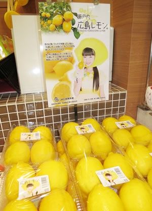 AKB48G