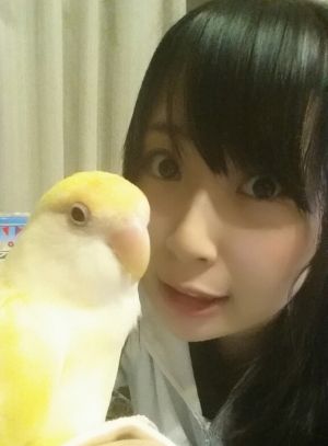 AKB48G
