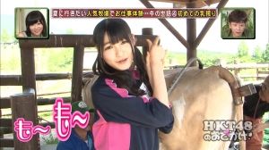 AKB48G