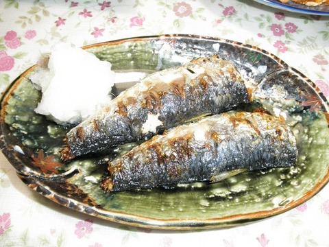 鰯の焼き魚