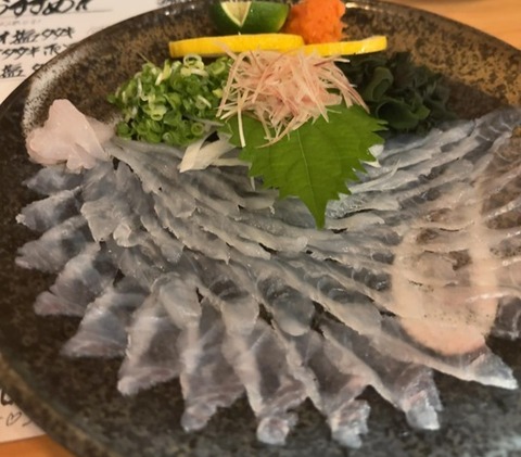 活ハギの薄造り