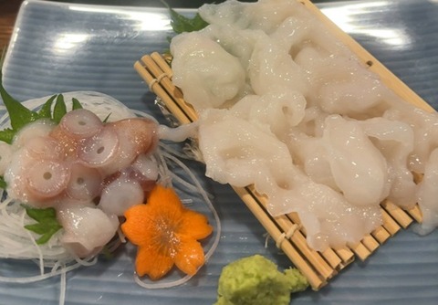 活たこ