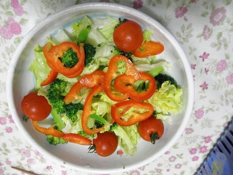 野菜サラダ
