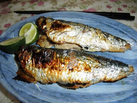 鰯焼き魚